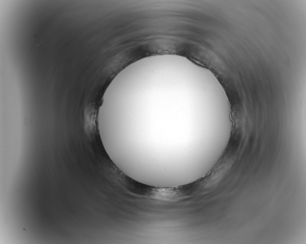 X0000096960141200802221350