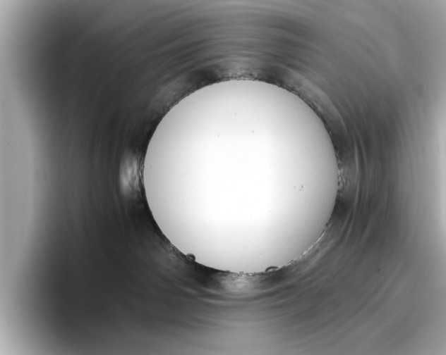 X0000096960142200802221350