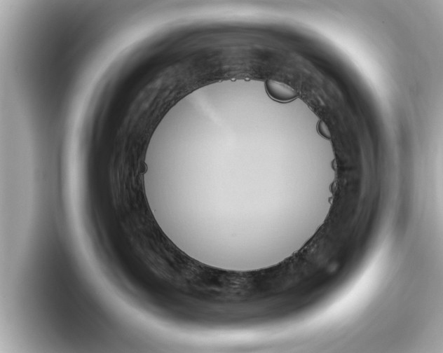 X0000096960143200802221349