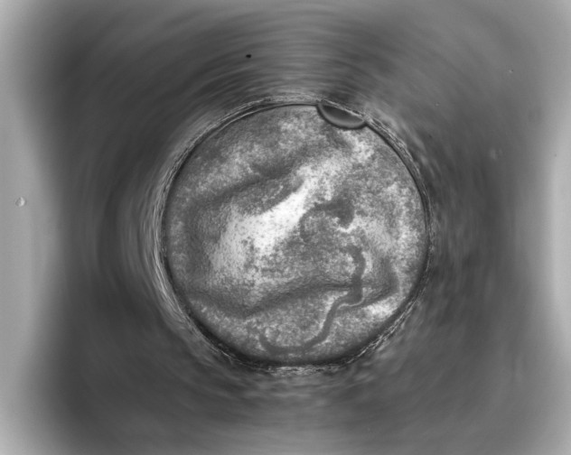 X0000096960145200802221349