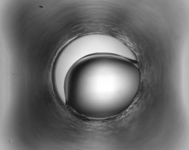 X0000096960146200802221349