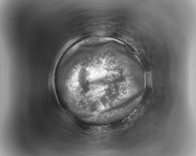 X0000096960147200802221349