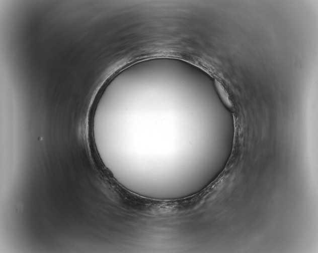 X0000096960148200802221349