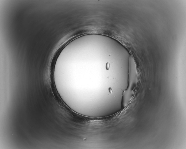 X0000096960150200802221349