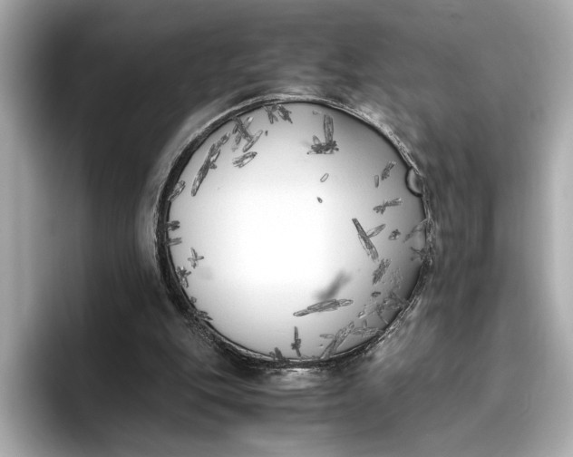 X0000096960151200802221349