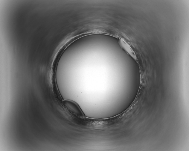 X0000096960152200802221349