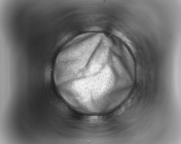 X0000096960153200802221349