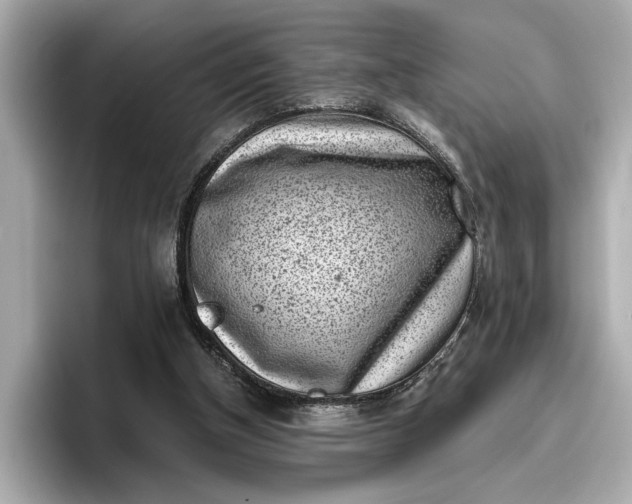 X0000096960154200802221349