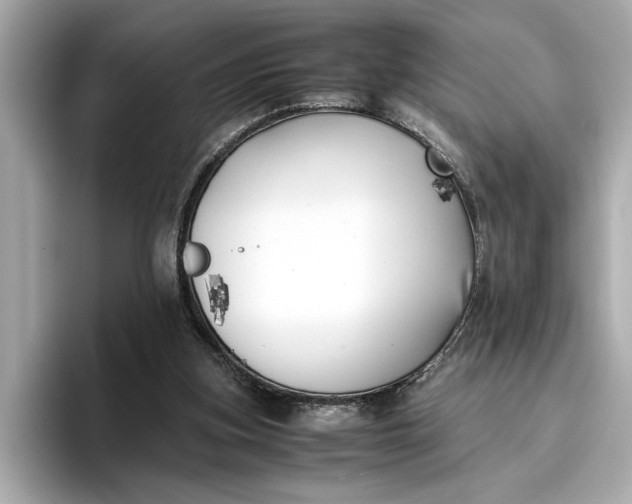 X0000096960155200802221349