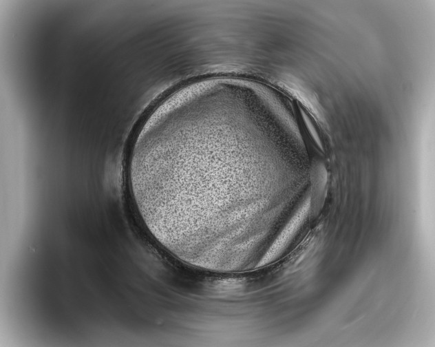 X0000096960156200802221349