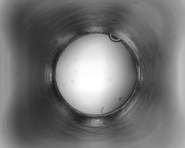 X0000096960157200802221349