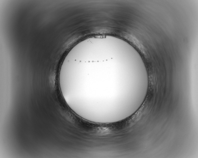 X0000096960159200802221349