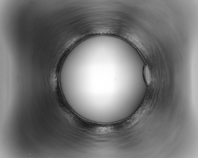 X0000096960160200802221349