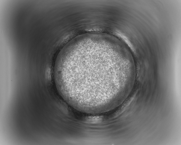 X0000096960161200802221349