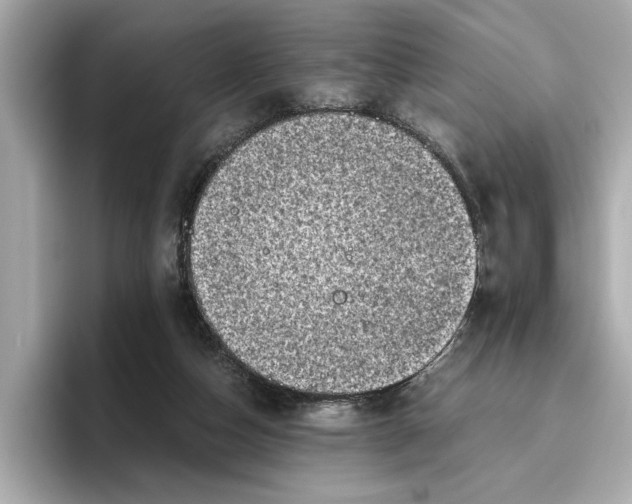 X0000096960162200802221349