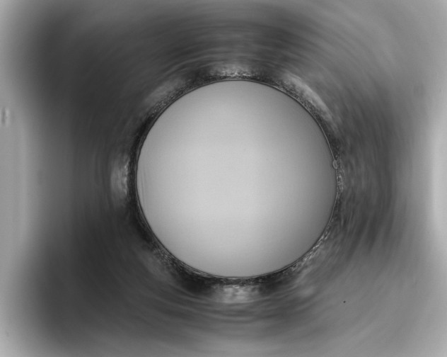 X0000096960163200802221349