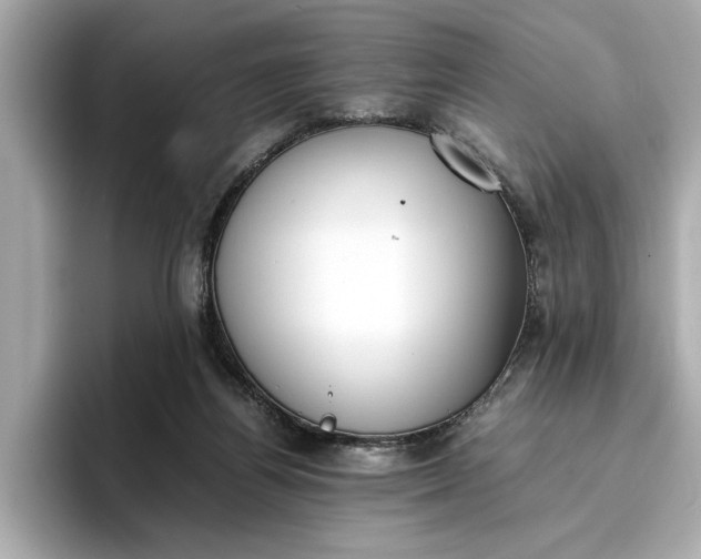 X0000096960164200802221349