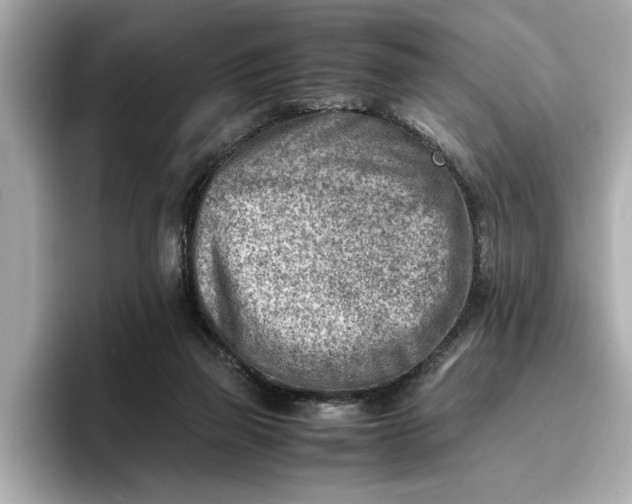 X0000096960165200802221349