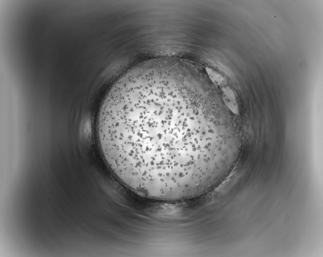 X0000096960166200802221349