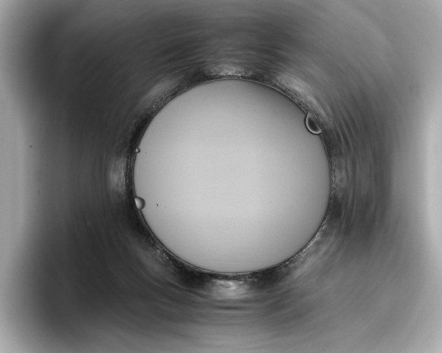 X0000096960167200802221349