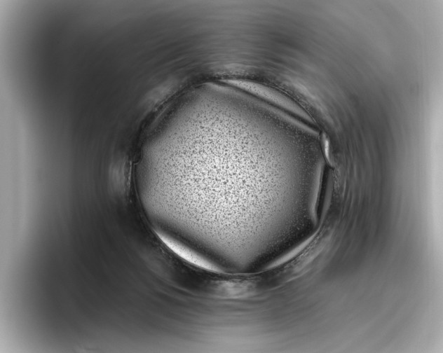 X0000096960168200802221349