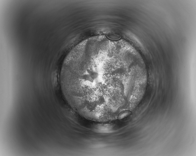 X0000096960169200802221349