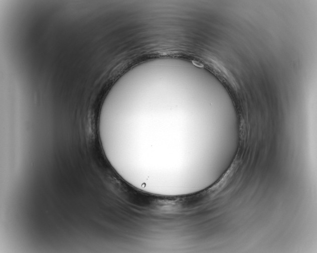 X0000096960170200802221349