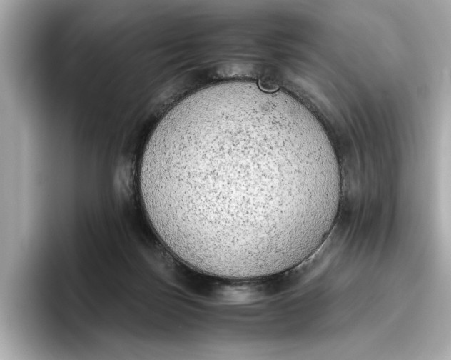 X0000096960171200802221349