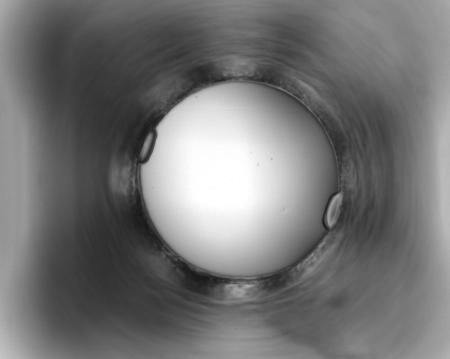 X0000096960172200802221349