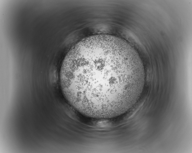 X0000096960173200802221349