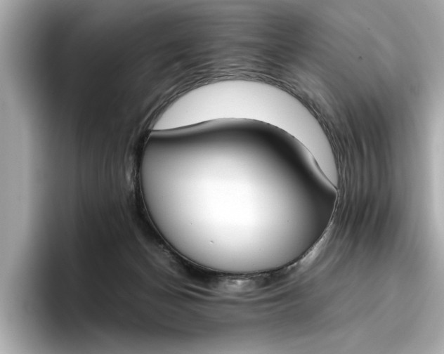 X0000096960174200802221349