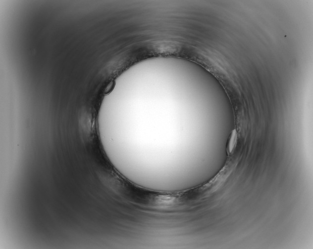 X0000096960176200802221349