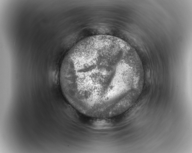 X0000096960177200802221349