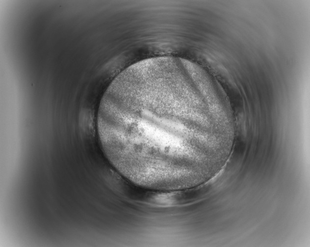 X0000096960178200802221349