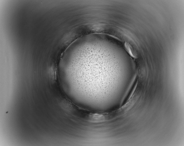 X0000096960180200802221349