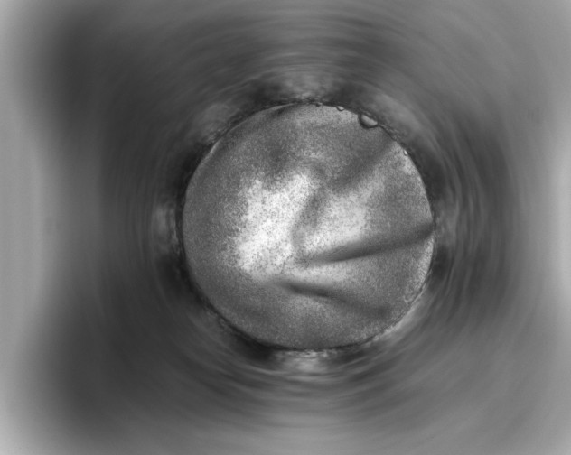 X0000096960182200802221349