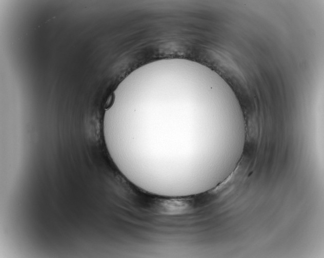 X0000096960183200802221349