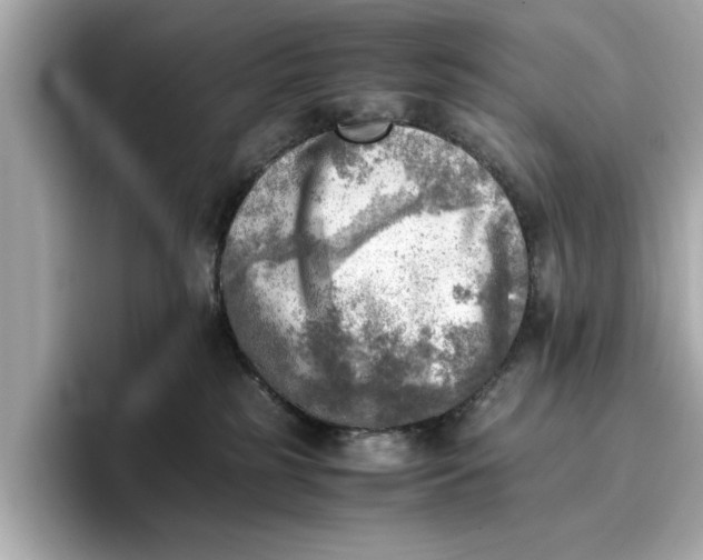 X0000096960185200802221349