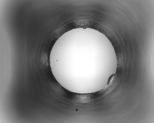 X0000096960187200802221349