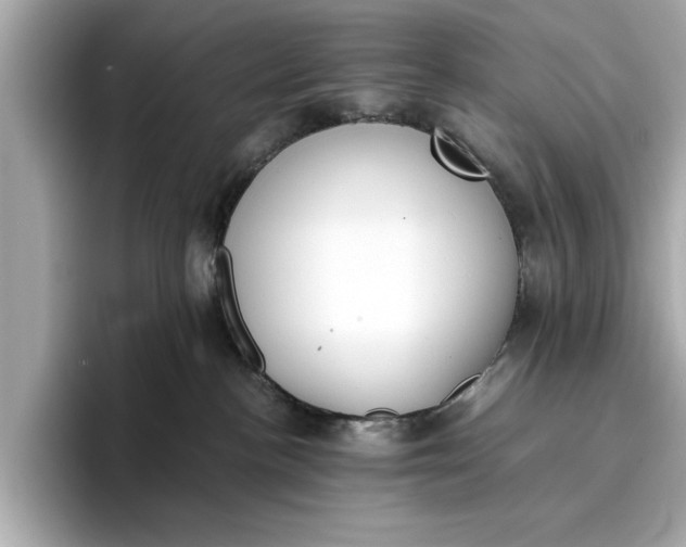 X0000096960188200802221349