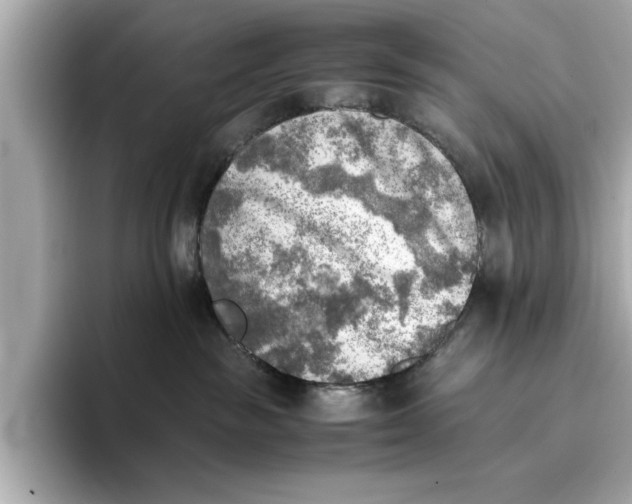 X0000096960189200802221349