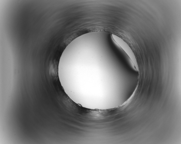 X0000096960190200802221349