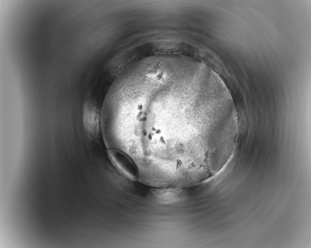 X0000096960191200802221349