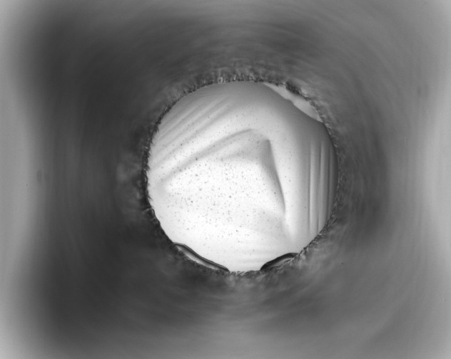 X0000096960192200802221349