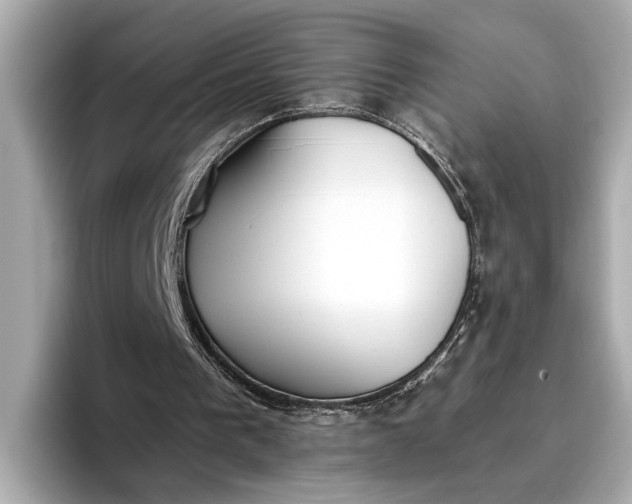 X0000096960193200802221349