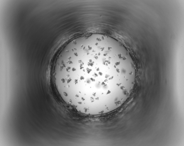 X0000096960194200802221349