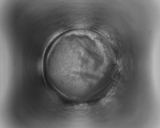 X0000096960196200802221349