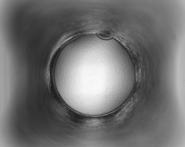 X0000096960198200802221349