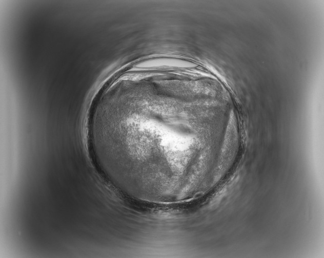 X0000096960199200802221349