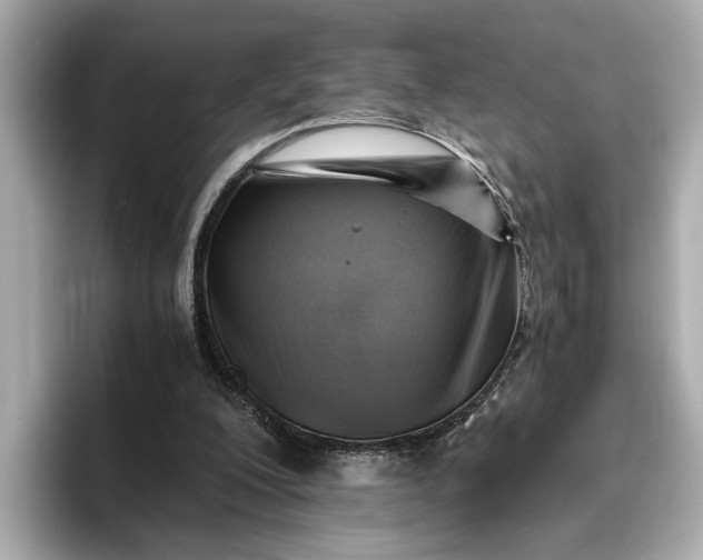 X0000096960200200802221349